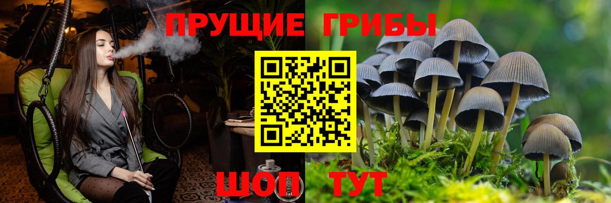 Псилоцибиновые грибы прущие грибы Алушта
